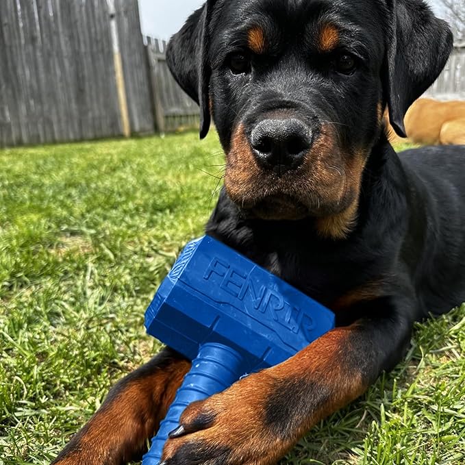 Fenrir Hammer Dog Chew Toy Strong Rubber Stuffable Enrichment Toy for Chewers (Blue, Small)
