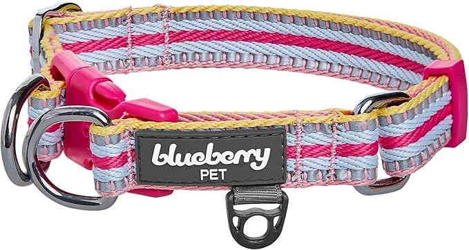 Blueberry Pet Safety Dog Collar with Dual D-Rings | 3M Reflective Multi-Colored Adjustable Collar in Pink and Pastel Blue | Soft Nylon Dog Collar for Active Small Dogs