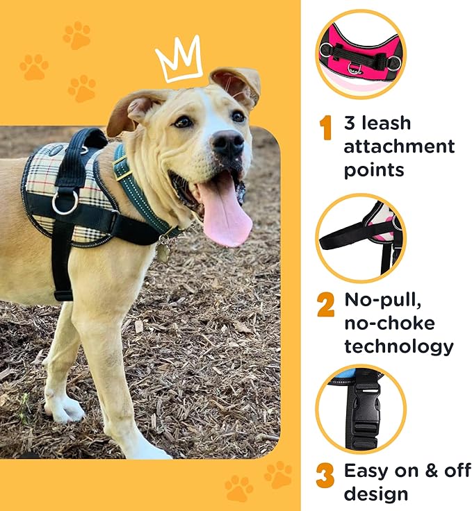 Bark Appeal Purple Plaid No-Pull Dog Harness for Extra Large Sized Pets – Adjustable, Reflective Vest with 3 Leash Clips for Added Control, Easy Walks & Training – XXL