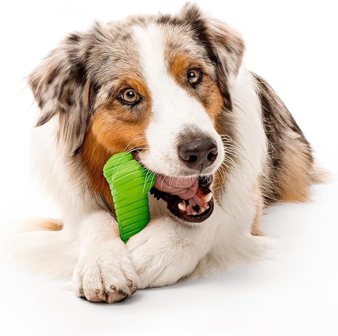Playology Dog Toys | Dual Layer Bone Durable Chew Toy Bone for Dogs | Jumbo Sweet Potato Scented Toy - Easy to Clean and Made from Non Toxic Materials