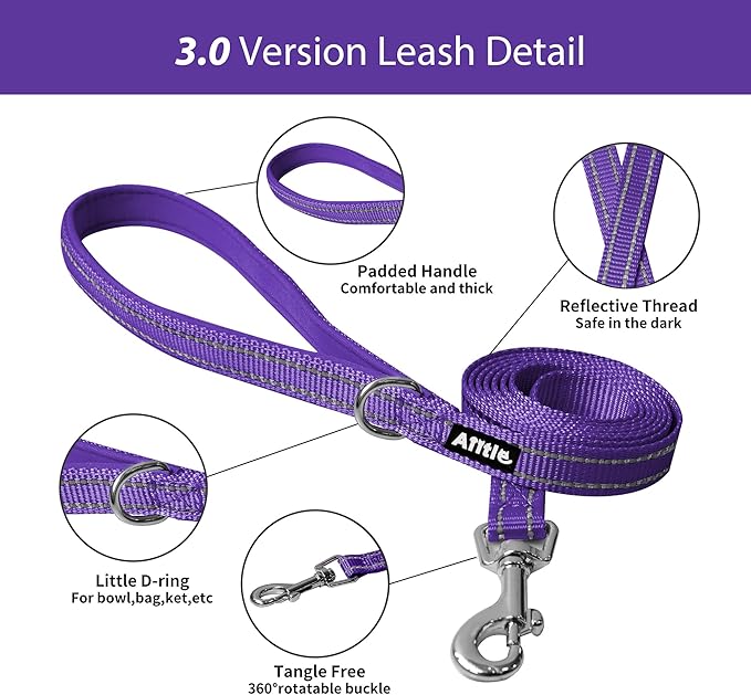 AIITLE Comfortable Dog Harness and Leash Set for Walking - Summer Step in Vest Harness,Reflective Bands, Adjustable No Pull Puppy Essentials, for Small Dogs and House Cats Pure Purple XS
