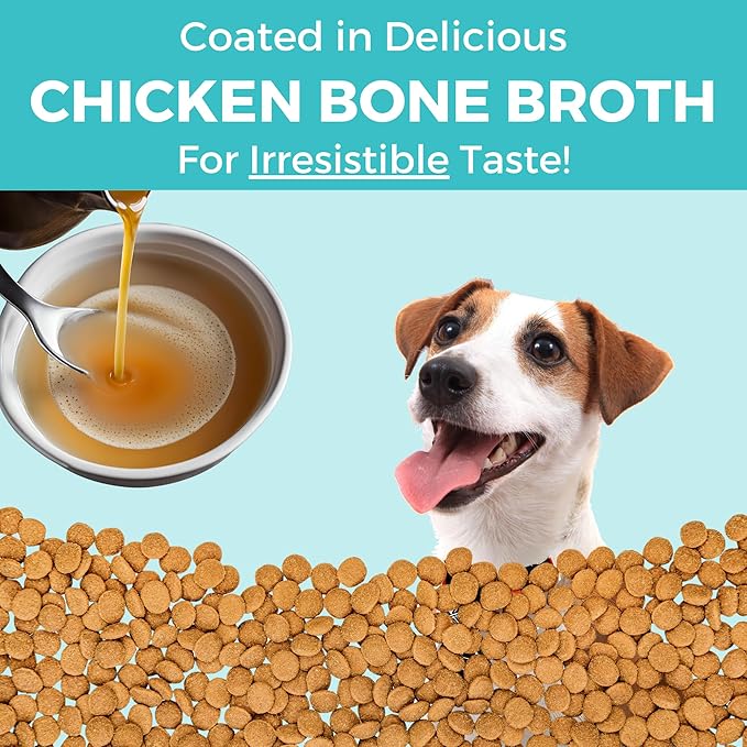 KOHA Limited Ingredient Bland Diet Dry Food for Dogs - Chicken & Brown Rice Recipe, Sensitive Stomach Dog Food - Pumpkin for Digestive Support, 3.5 lbs