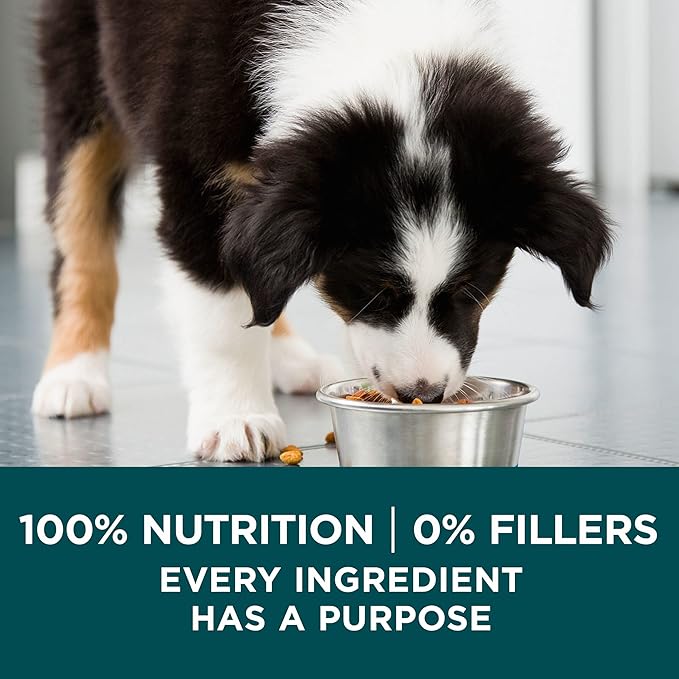 Purina One Plus Puppy Dry Dog Food for Large Dogs High Protein Growth Support, Real Chicken - 31.1 lb Bag