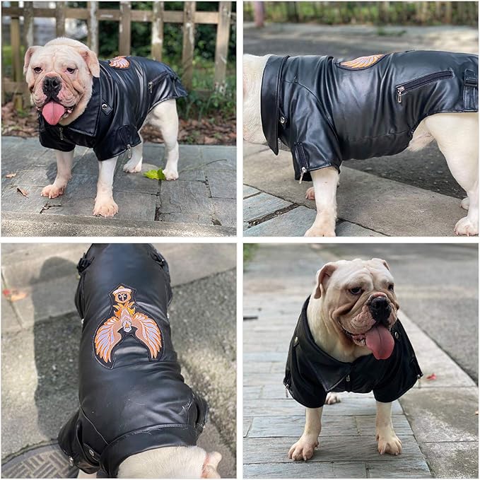 Lovelonglong Cool Dog Leather Jacket, Warm Coats Dogs Windproof Cold Weather Coats for Large Medium Small Dogs with Eagle Embroidery Black B-S