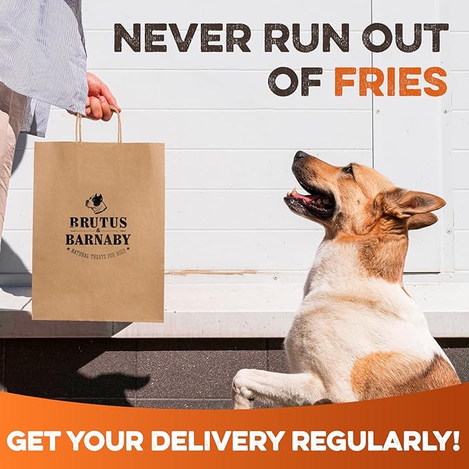 BRUTUS & BARNABY Sweet Potato Dog Treats- No Additive Dehydrated Sweet Potato Fries, Grain Free, Gluten Free and No Preservatives Added (14 oz)