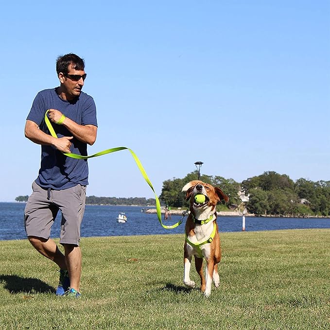 Pawtitas 6 FT Comfortable Leash - Solid Color, Medium/Large, Orange, Perfect for Dog Training