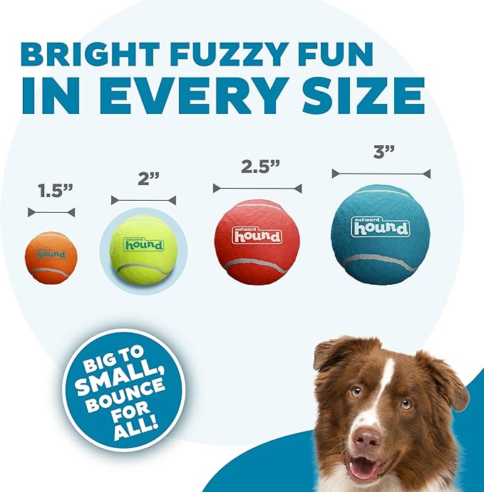 Outward Hound Squeaker Ballz 4-Pack Tennis Ball Dog Toys with Squeaker, Interactive Fetch Play for Pets Under 25 lbs, Training Balls for Indoor & Outdoor Exercise, Small, 2-inch