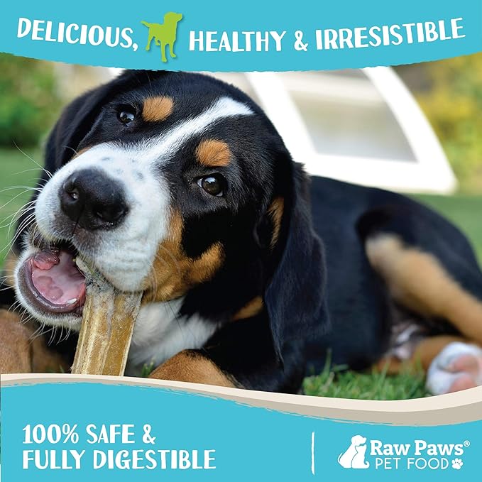 Raw Paws Compressed Rawhide Bones for Large Dogs (10 Pack) - Natural Raw Hides Large Dogs Long Lasting - Single Ingredient Rawhide Chews Dog Bones for Aggressive Chewers