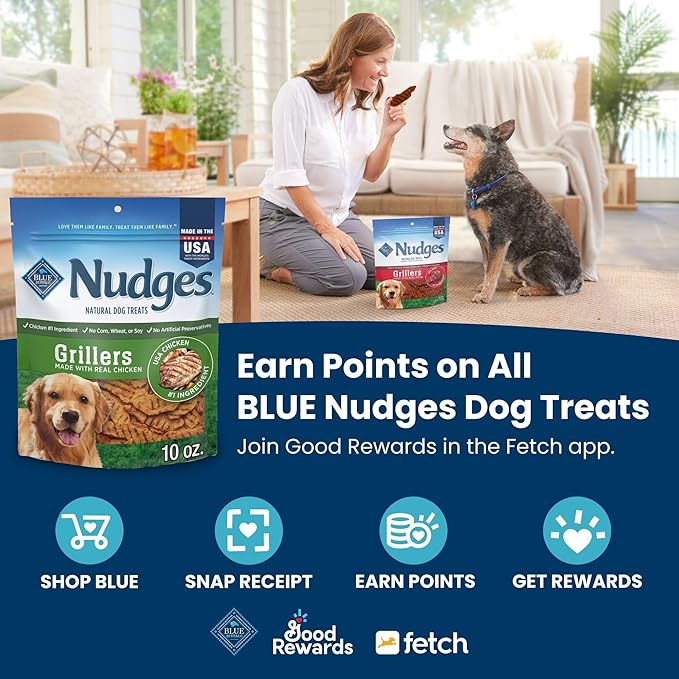 Blue Buffalo Nudges Jerky Cuts Dog Treats, Made in the USA with Natural Ingredients, Chicken & Duck, 16-oz Bag
