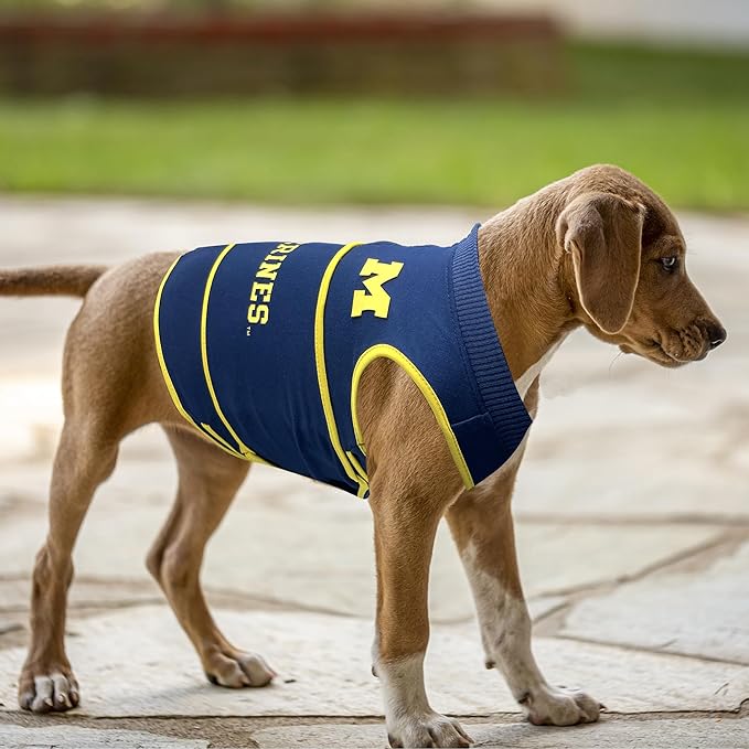 NCAA Michigan Wolverines Dog Anxiety Shirt Calming Soothing Vest, Dogs Cats with Anxiety, Fears, Fireworks, Loud Noises, Dark, Lonely Keeps Dogs Calm & Feeling Safe, Relaxing Jacket, Large