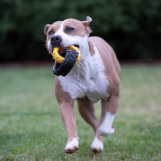 Tonka Rubber 3-Ring Tug Dog Toy, Lightweight, Durable and Water Resistant, 7.5 Inches, for Medium/Large Breeds, Single Unit, Yellow/Black