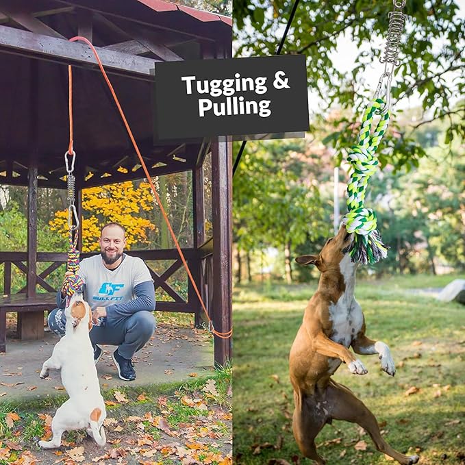 Dog Outdoor Bungee Tug Hanging Toy, Tether Tug of War Toys for Pitbull Small Large Aggressive Chewers Dogs to Exercise Solo Play, Tree Tugger Interactive Tug Toy, Dog Rope Toys