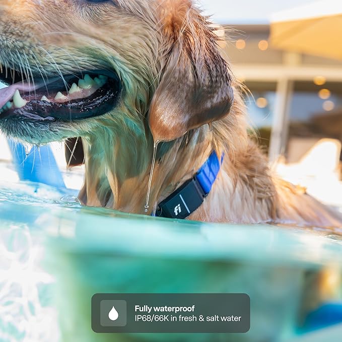 New Fi Series 3+ Smart Dog Tracker Collar – AI GPS for Dogs, Health & Behavior Monitor, Virtual Fence, Escape Alerts, Waterproof, Apple Watch Compatible [12Mo Membership Included] (Blue, Large)