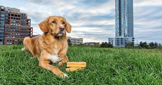 peaksNpaws Himalayan Yak Chews, High Protein Dog Treat for Aggressive Chewers, Natural, Long Lasting, Lactose Free Chew Stick for Pet Under 35 lbs, 20 Medium Treats, 100% Eco-Friendly Packaging