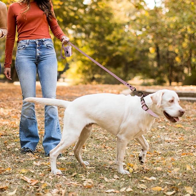 Wisedog Dog Collar and Leash Set, Waterproof Adjustable Puppy Collars with Cute Tag 6FT Dog Leash with Poop Bag for Small Medium Large Dogs (XS, Pale Pinkish Purple)