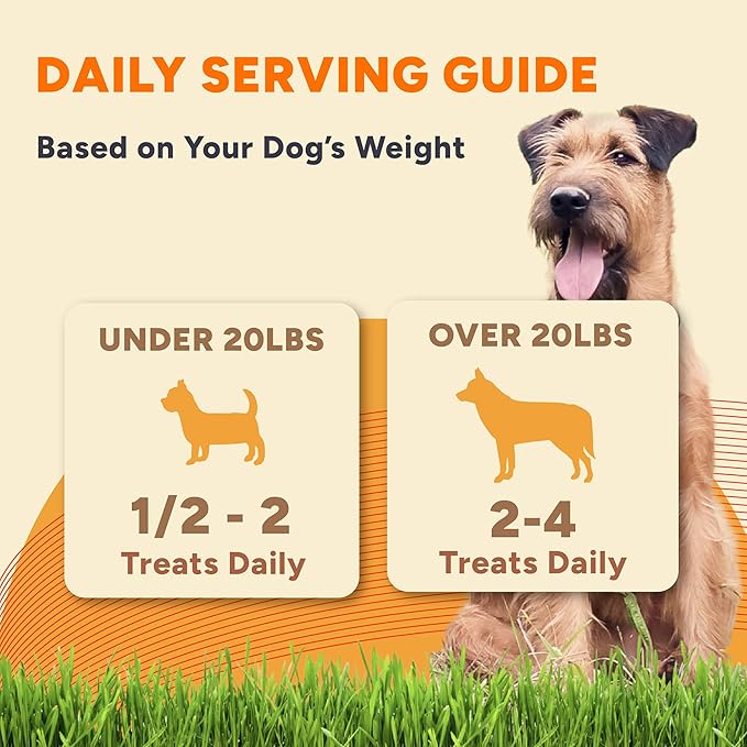 Gaines Family Farmstead Pumpkin & Sweet Potato Dog Bones – 40 oz Bag, Natural, Grain-Free Dog Treats for Digestive Health & Immunity – High-Fiber, Vitamin-Rich Chews, Made in USA