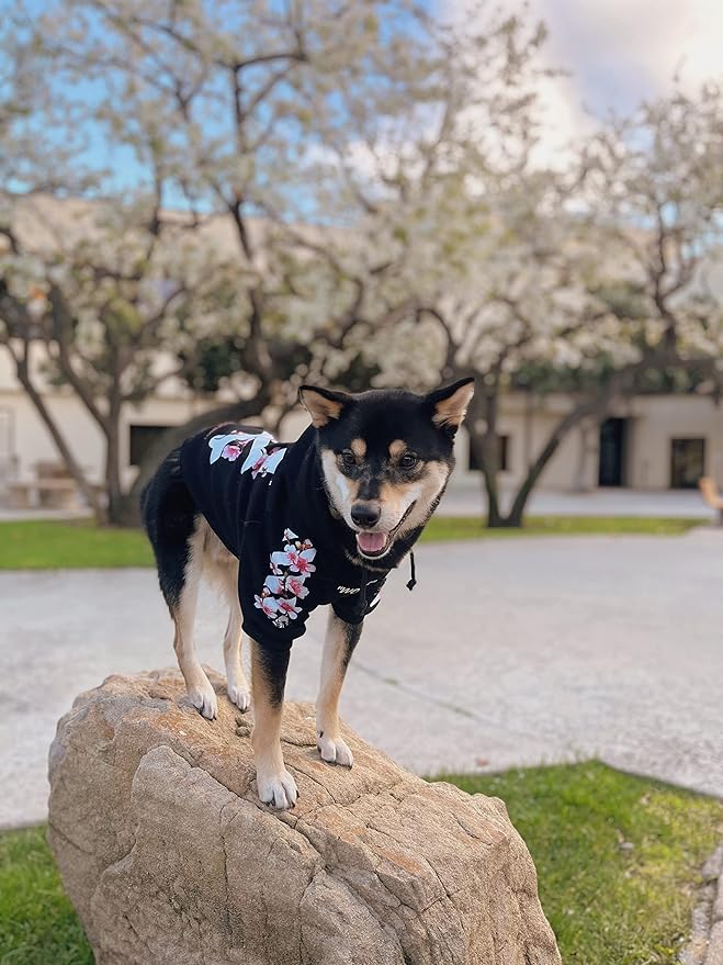 ChoChoCho Woof Dog Hoodie, Designer Dog Hoodies for Small Medium Large Breeds, Art Collection Dog Sweatshirts, Street Drawstring Hoodies Outfit Clothes for Puppy Puppies (5XL, Sakura/Black)