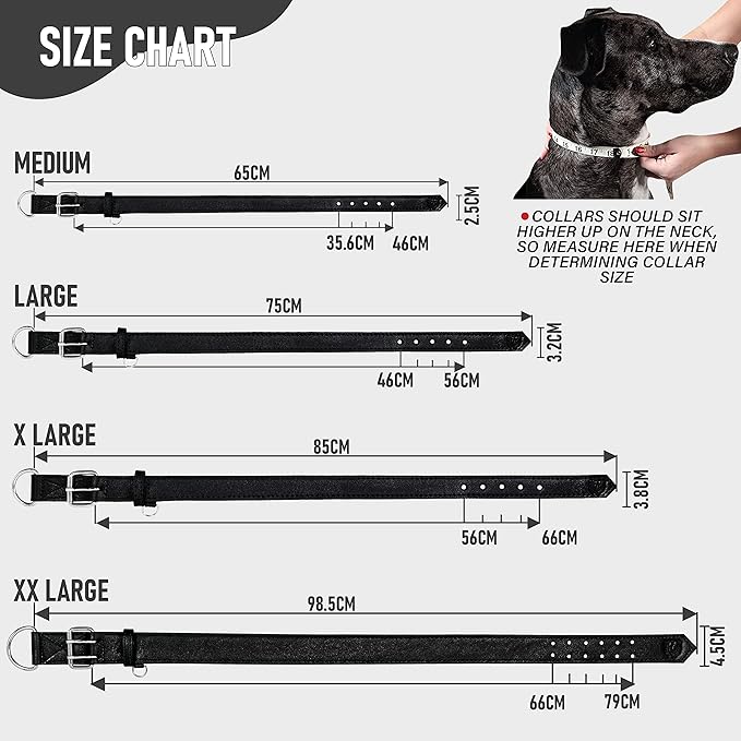 Riparo Dog Collar - Genuine Leather Dog Collars - Heavy Duty Dog Collars for Medium Large and Extra Large Dog Breeds (M: 1” Wide for 14” - 18” Neck, Black)
