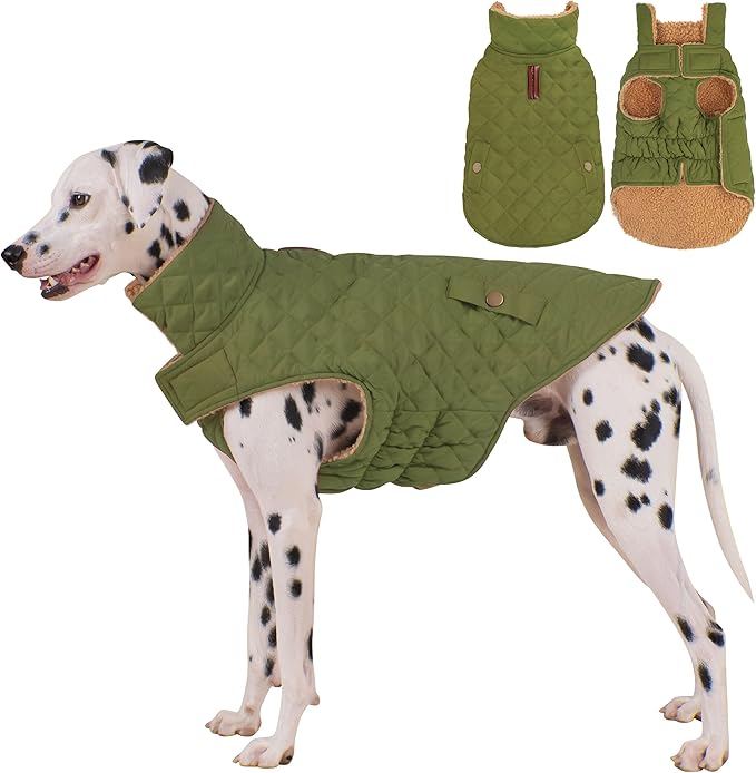 Dog Coat, Warm Windproof Dog Coats for Large Dogs Boy, Waterproof Pet Winter Jacket, Cold Weather Clothes Dogs Snowsuit with Leash Hole, Green XXX-Large