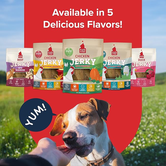 PLATO Pet Treats Dog Treats - Air-Dried Jerky for Dogs - Delicious, Real Meat Dog Treats - Grain Free - Supports Healthy Digestion - Chicken Jerky with Pumpkin 7oz