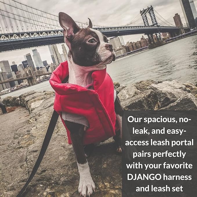 DJANGO Reversible Puffer Dog Coat – Warm Winter Dog Jacket & Water-Repellent Insulated Dog Coat with Harness Hole, Windproof, Adjustable Fit for Small & Medium Dogs, Dachshunds – Lava Red, Small