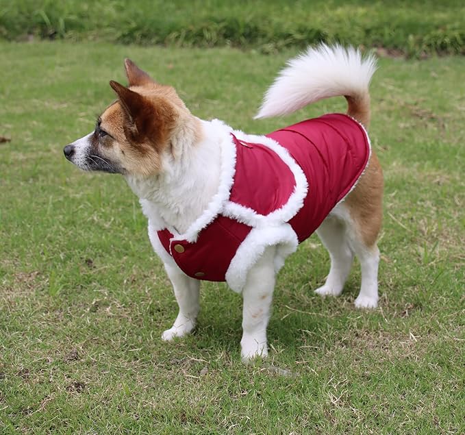 Shawl Design Fleece Lined Warm Dog Jacket for Winter Cold Weather,Soft Windproof Large Dog Coat,Red XXXL