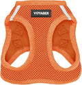Best Pet Supplies Voyager Step-in Air Harness - All Weather Mesh, Reflective, No Pull Harness for Dogs, Cats - Secure with Hook & Loop Fastener, Buckle, Double D-Rings - Orange, XXXS