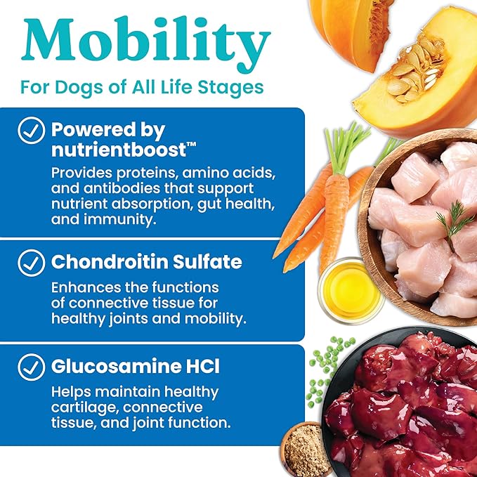 Solid Gold Healthy Dog Treats - Functional Chicken Dog Treat w/Glucosamine Chondroitin for Mobility & Joint Support - Training Treats for Dogs w/Salmon Oil & Superfoods - All Ages & Sizes - 5.2oz