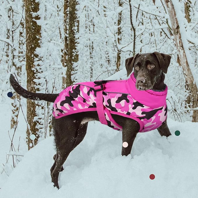IECOii Extra Warm Dog Coat - Reflective Adjustable Jacket with Buckle & Fleece Turtleneck for Small to Extra Large Dogs