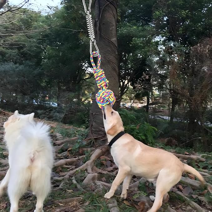 Dog Outdoor Bungee Tug Hanging Toy, Tether Tug of War Toys for Pitbull Small Large Aggressive Chewers Dogs to Exercise Solo Play, Tree Tugger Interactive Tug Toy, Dog Rope Toys
