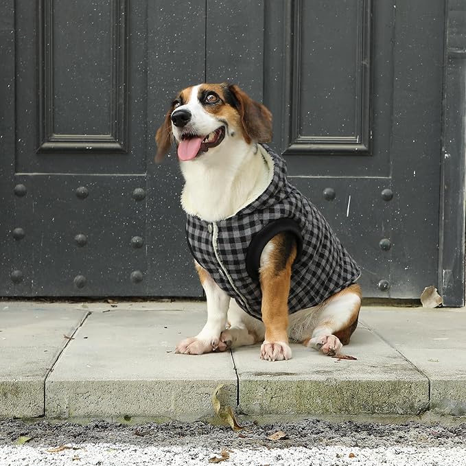 Fleece Lining Dog Hoodie for Small Dogs Extra Warm Plaid Sweater with Drawstring Hooded Coats in Winter Puppy Jacket,Black XS