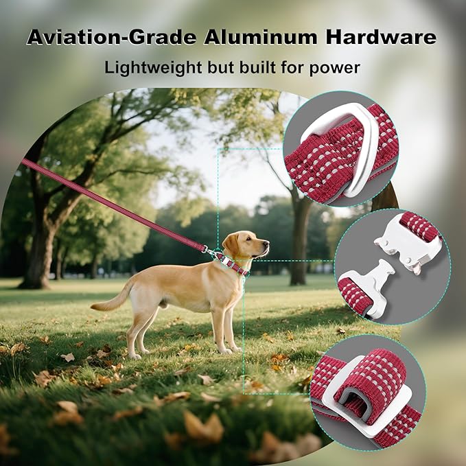 Plutus Pet Reflective Dog Collar with Aviation Aluminum Buckle, Neoprene Padded for Comfort, Lightweight, Heavy Duty Nylon Collar for Puppy Small Medium Large Dogs (Burgundy Red, M)