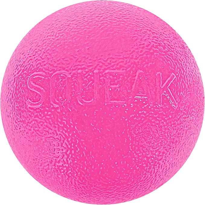 Outward Hound by Planet Dog Squeak Ball Bouncy Fetch Dog Toy, Pink