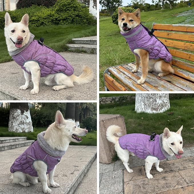Malier Dog Coat, Reflective Dog Jacket Waterproof Windproof Puppy Cold Weather Coats with Harness Built in, Winter Extra Warm Pet Coat Fleece Vest for Small Large Pets and Puppy (Purple, Small)