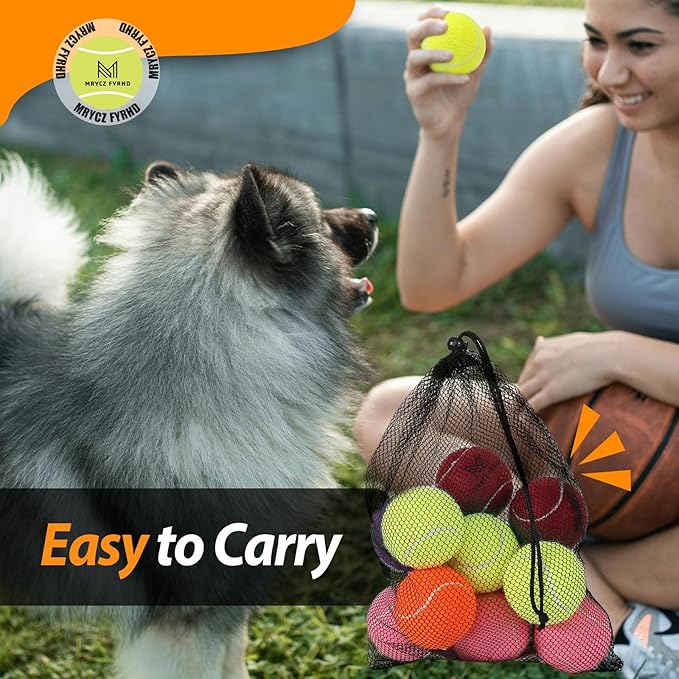 Tennis Ball Dog Toys 4 Pack - 4-Inch Durable and Safe Dog Ball, Sound Output from The Large Tennis Balls for Dogs with Mesh Bag, Perfect for Indoor and Outdoor Play