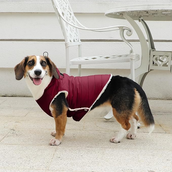 Fleece Lining Dog Hoodie with Harness Built in,Extra Warm Medium Dog Jacket in Winter Doggie Coats with Drawstring Hooded,Red L