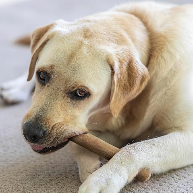 Wildfang® Coffee Wood Dog Chew, XL - Tough Chew Toys for Aggressive Chewers, Dog Teething Toys for Puppies, Training for Chewing Muscles, Coffee Tree Sticks for X-Large Dogs (Over 99 lbs)