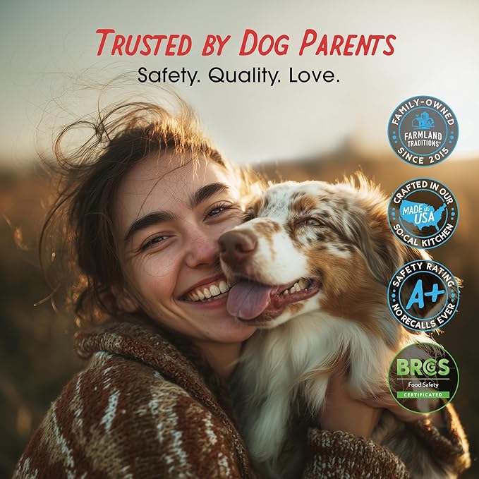 Farmland Traditions Dogs Love Beef Jerky Dog Treats with Only 3 Ingredients and No Fillers, 13.5 Ounce Bag