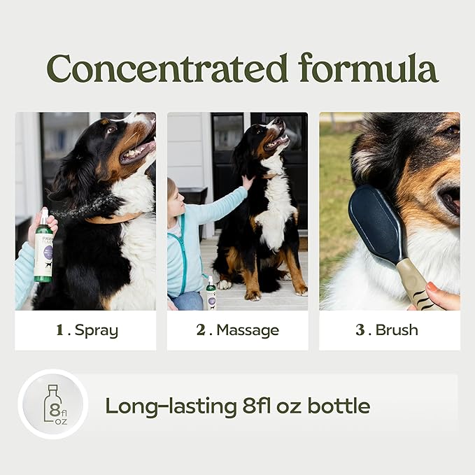 PAWFUME Skin & Coat Detangler Spray for Dogs, 4-Pack – Soothe Dry, Itchy Coats Quickly – Non-Toxic Chamomile & Oat Formula, Essential Fatty Acids & Vet-Certified – Dog Detangler Spray Dematting Care