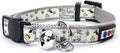 Pawtitas Pet Glow In The Dark Cat Collar with Safety Buckle and Bell Grey Hook
