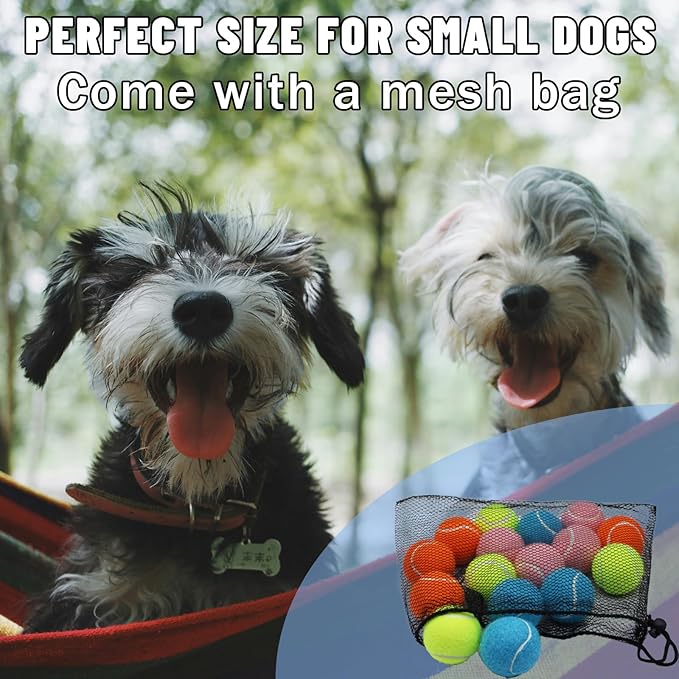Magicorange Small Tennis Balls, 20 Pack 2 inch Tennis Balls for Dogs, Colorful Easy Catching Pet Dog Playing Ball with Mesh Bag for Easy Transport(Multicolor, 2 inch)