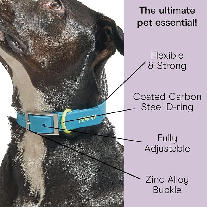 Wild One, Limited Edition, Designer Collection, Blue Dog Collar, Easy-Clean, All Weather Flex-Poly Strap with Metal, Durable, Dirt and Odor Resistant, Medium