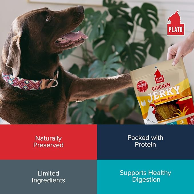 PLATO Pet Treats Jerky Dog Treats - Air-Dried Jerky for Dogs - Delicious, Real Meat Dog Treats - Grain Free - Supports Healthy Digestion - Chicken Jerky with Bone Broth 16oz