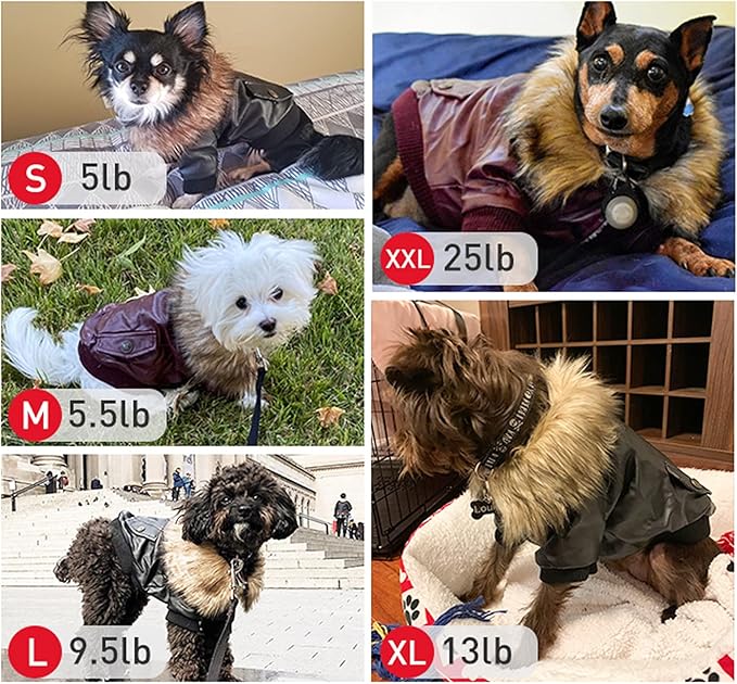 LESYPET Dog Leather Jacket for Small Dogs, Waterproof Dog Winter Jacket Puppy Coat with Fleece Lined, Ultra Warm Fur Collar Doggie Coat, Red XX-Large