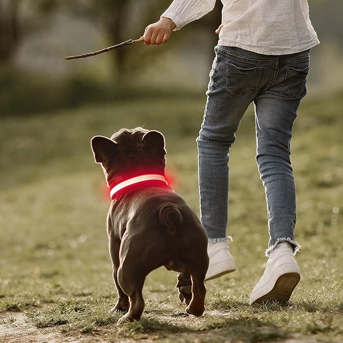 YFbrite Full Adjustbale LED Dog Collar, Full Illuminated Light up Dog Collars, Reflective Dog Collar Light Glowing in The Dark for All Dogs Safety (Small, Pink-2)