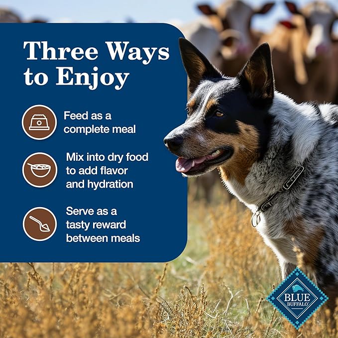 Blue Buffalo Homestyle Recipe Adult Wet Dog Food, Made with Natural Ingredients, Turkey Dinner With Garden Vegetables, 12.5-oz Can (Pack of 12)