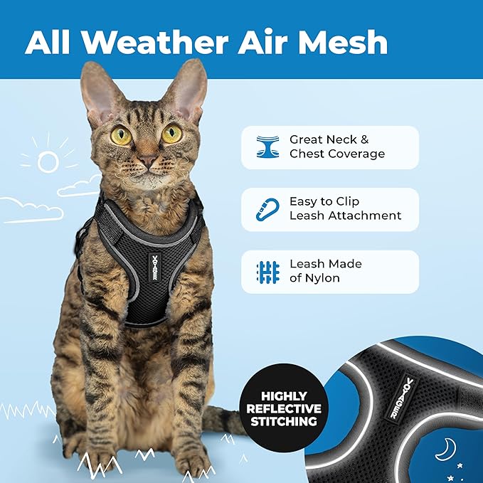 Voyager Escape Proof Cat Harness and Leash Set with Reflective Stitching, Neoprene Handle 5ft - Supports Small, Medium and Large Cats, Kittens for Walking by Best Pet Supplies - Black, S