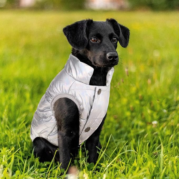 ASENKU Dog Winter Coat - Waterproof Windproof Dog Jacket, Warm Snowproof Doggie Puffer Vest for Cold Weather, Lightweight Snow Coats for Small Medium Large Dogs (Silver, 3XL)