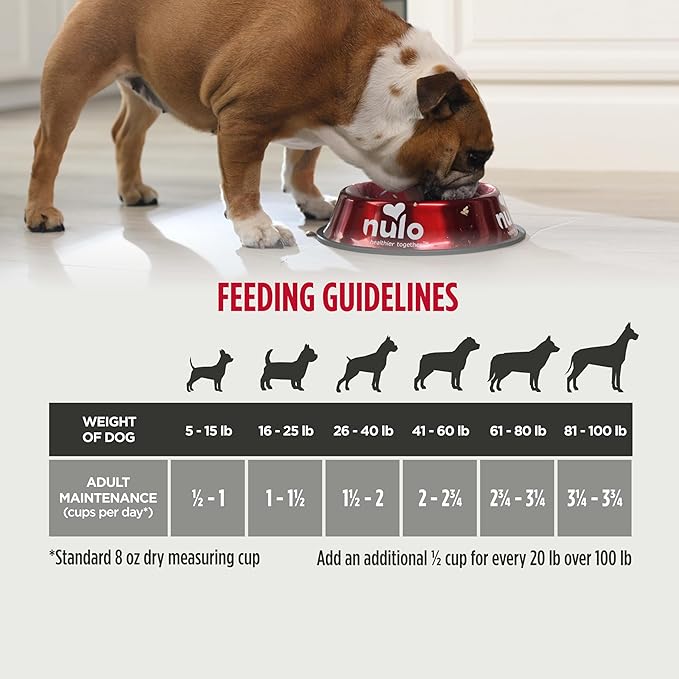 Nulo Frontrunner Ancient Grains High-Protein Dog Food, Chicken, Oats, & Turkey Recipe- Natural Dry Dog Food with Probiotics, Grain-Inclusive Kibble for Adult Dogs, 25 lb Bag