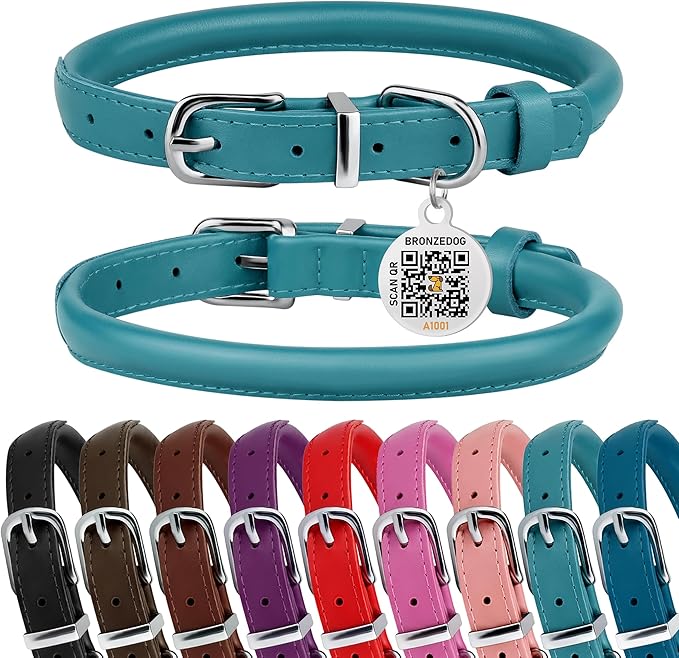 BRONZEDOG Rolled Leather Dog Collar for Small Medium Large Dogs with QR ID Tag (S: 12-14 Inch, Teal)